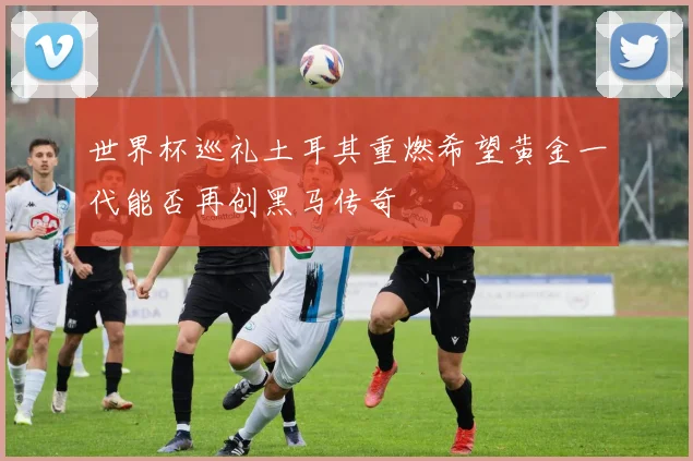 世界杯巡礼土耳其重燃希望黄金一代能否再创黑马传奇